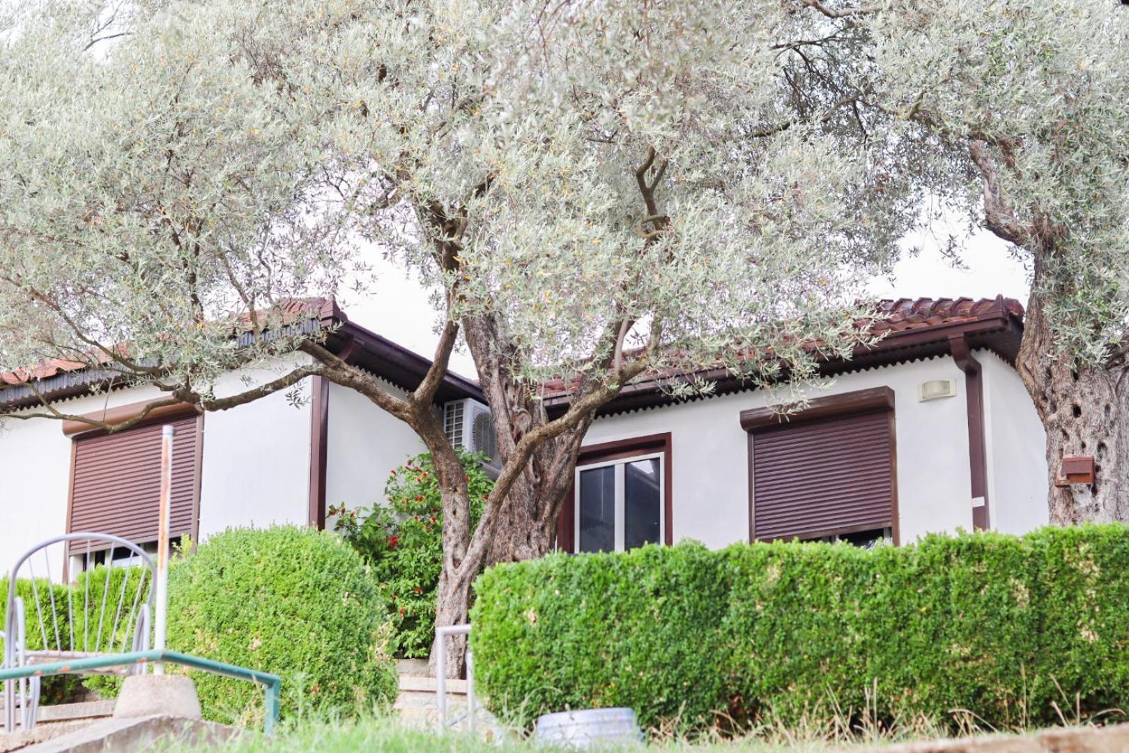 Hilja's Oliven Garden Bungalows Ulcinj Exterior foto